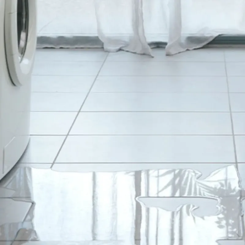 Appliance Leak Cleanup in Sandy, UT