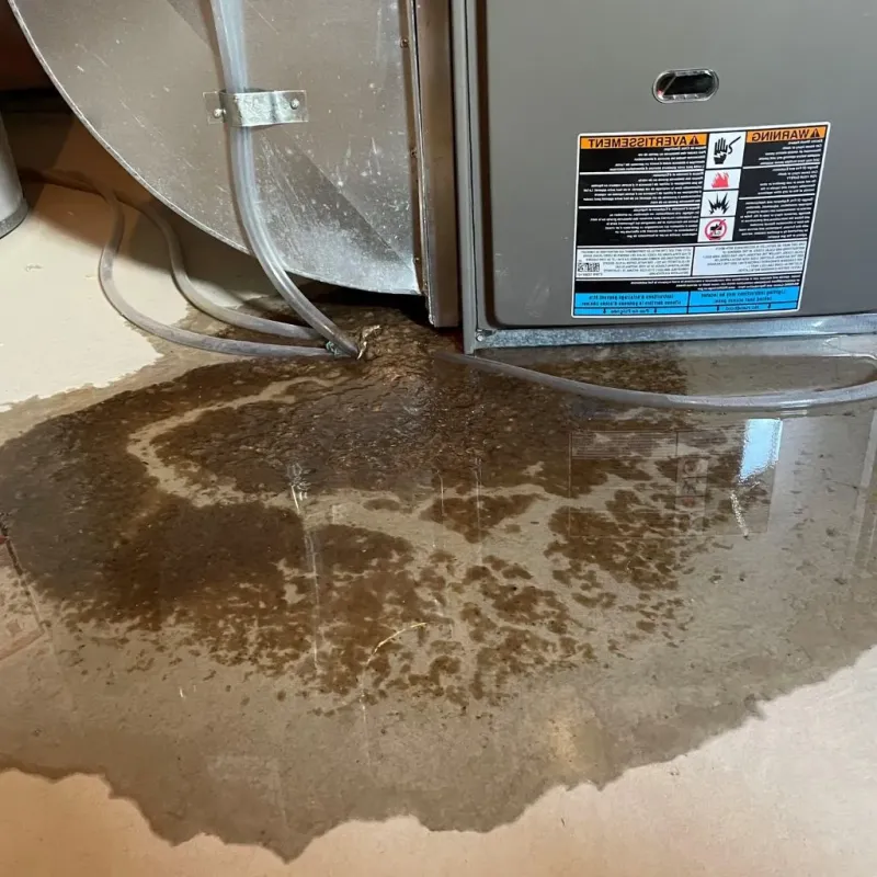 Pipe Burst and Leak Restoration in Sandy, UT